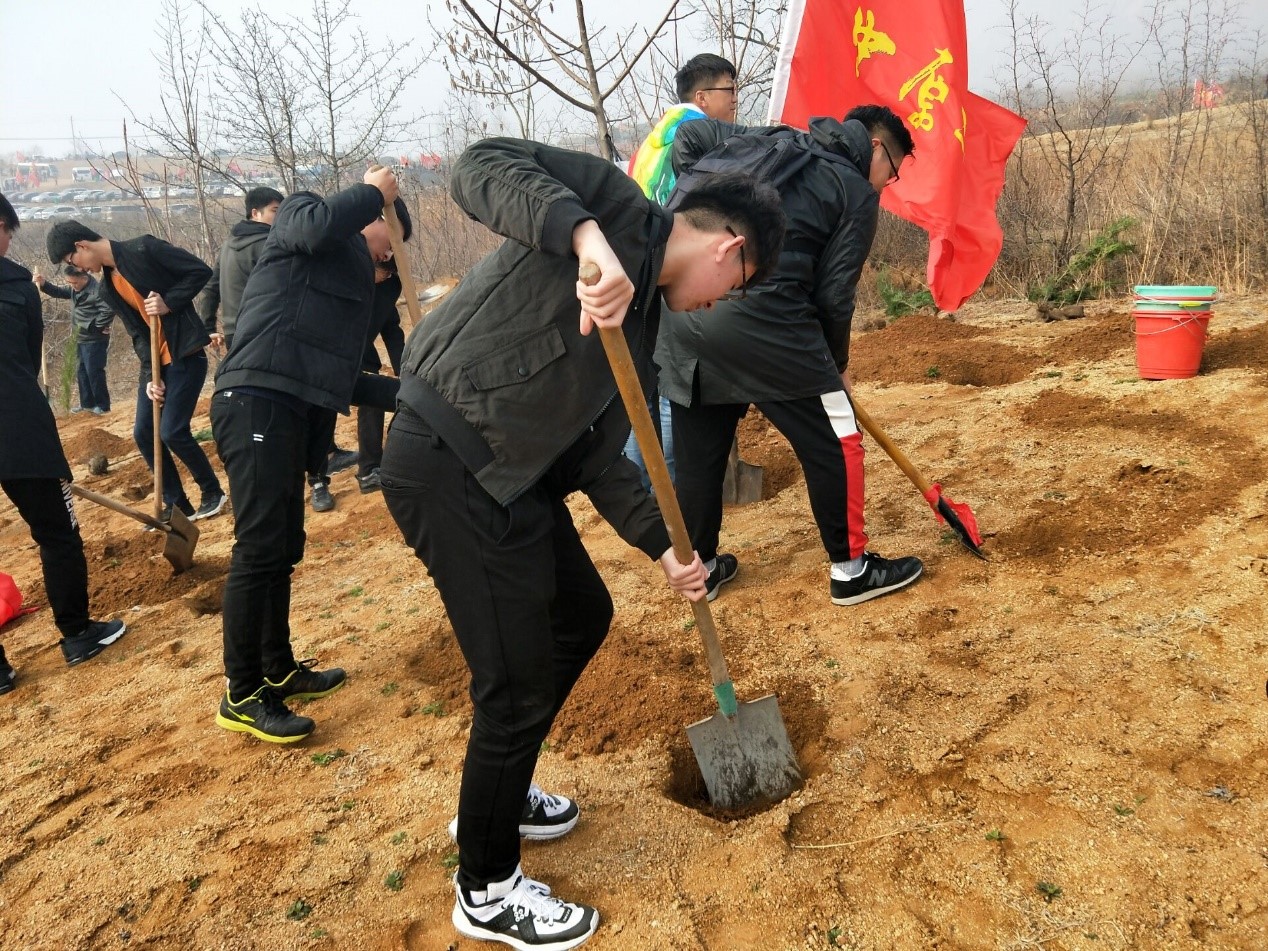 同学植树照片